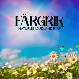 Listen to Sinnlig Ro Himmel song with lyrics from Lugnt Naturparadis