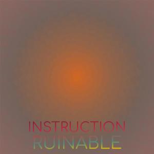 Various的专辑Instruction Ruinable