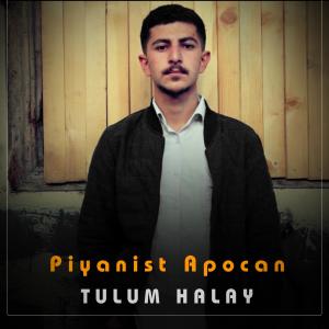 收聽Damla Production的TULUM HALAY (feat.Piyanist Apocan)歌詞歌曲