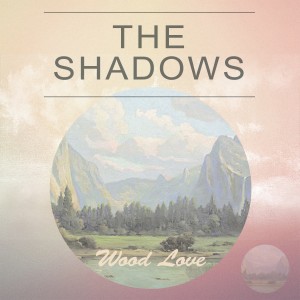 收听The Shadows的The Rise And Fall Of Flingle Blunt歌词歌曲