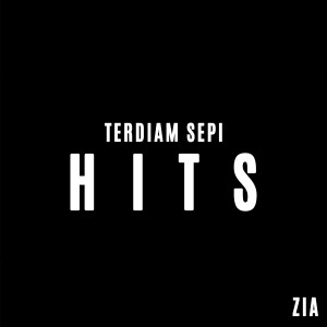 收听Nazia Marwiana的Terdiam Sepi (Ff)歌词歌曲