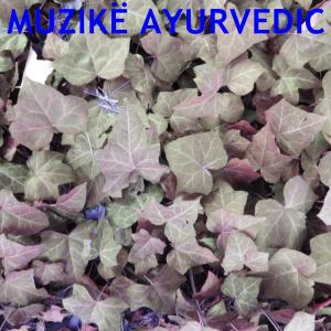 收聽Roberto Panduan的Muzikë Ayurvedic歌詞歌曲