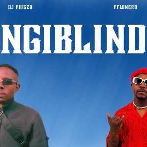 Album NgiBlind from DJ Phigzo