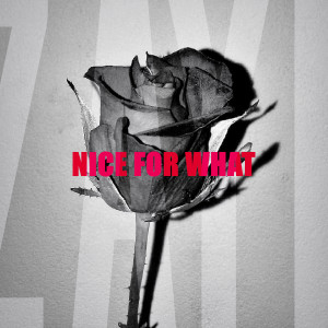 ดาวน์โหลดและฟังเพลง Nice for What (accelerate) พร้อมเนื้อเพลงจาก Zayd