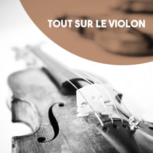 The National Symphony Orchestra的專輯Tout sur le violon