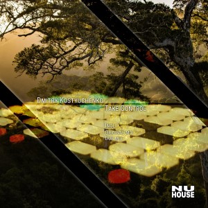 Dmitry Kostyuchenko的專輯Take Control