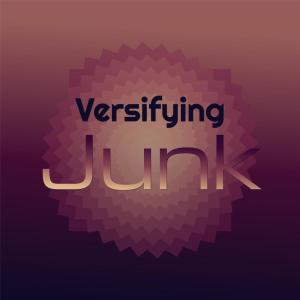 Various Artists的專輯Versifying Junk