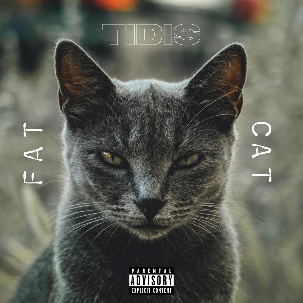 Fat Cat (Explicit)