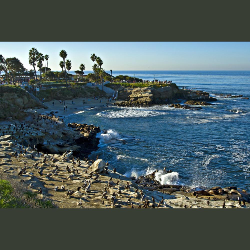 La Jolla Cove (完整版)