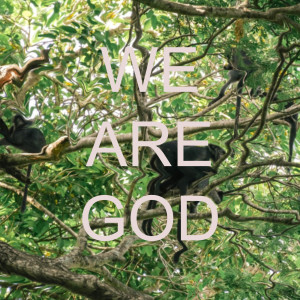 Dengarkan lagu We Are God (Instrumental) nyanyian The Orphan's Wisdom dengan lirik