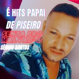 Sergio Santos的專輯Senta pro malvadão