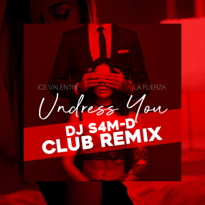 收听Ice Valentin的Undress You (Club Remix)歌词歌曲