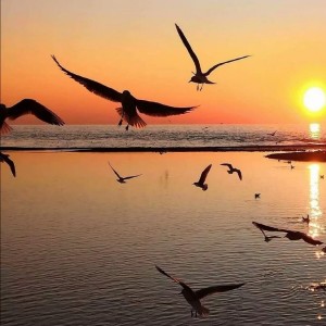 Listen to 如果爱还在 (Dj慢四广场舞版) song with lyrics from 鲁昌雨
