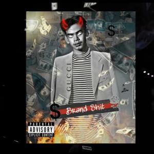 Listen to [Fake Brand] Vin Trapz Official (Explicit) song with lyrics from Vin Trapz