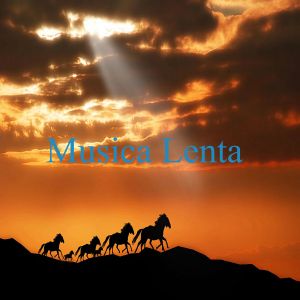Album Música Lenta from Melodias