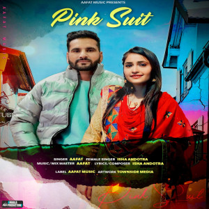 Listen to Pink Suit song with lyrics from Aafat