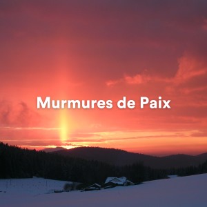 Zen Méditation Académie的專輯Murmures de Paix