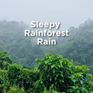 Listen to Stress Relief Nature Asmr song with lyrics from Rain Sounds
