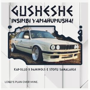 Listen to Gusheshe (feat. Dominols) song with lyrics from KApollo