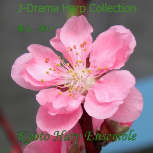 ดาวน์โหลดและฟังเพลง Haruyo Koi (Harp Version) พร้อมเนื้อเพลงจาก KYOTO HARP ENSEMBLE