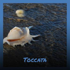 Album Toccata from Various