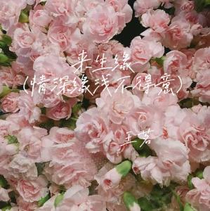 Album 来生缘(情深缘浅不得意) from 王茗