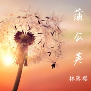 Album 蒲公英 from 