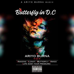 ดาวน์โหลดและฟังเพลง Butt€r$-fl¥ (feat. J fresh) พร้อมเนื้อเพลงจาก Ariyo Burna