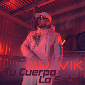 Listen to Tu Cuerpo Lo Sabe song with lyrics from Mr. Vik