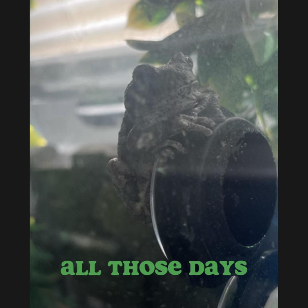 All those days (feat. Jean Parker & Aidan han) (Explicit)