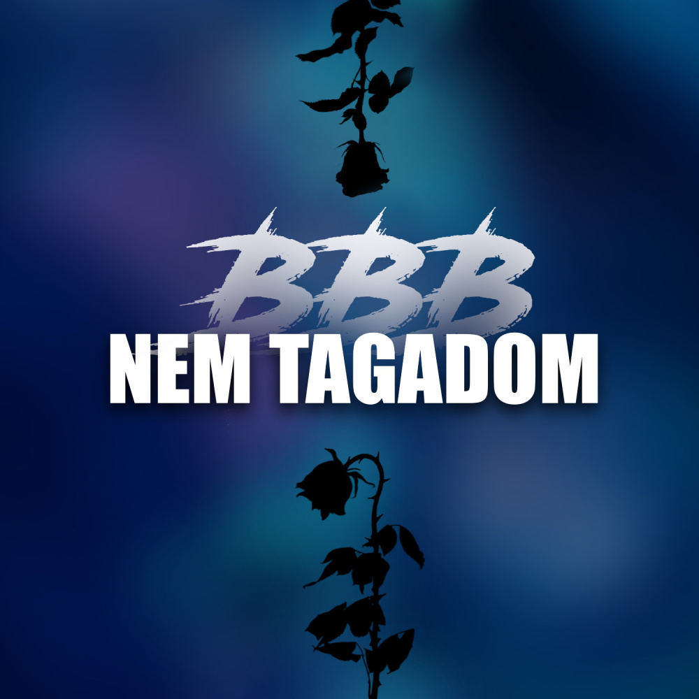 Nem tagadom