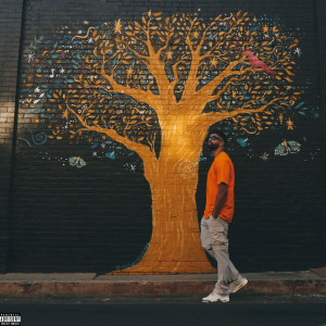 Album In My Own Lane (Explicit) from Reef Sosa