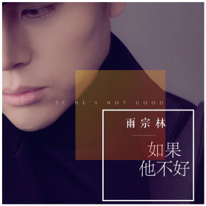 Listen to 如果他不好 (伴奏) song with lyrics from 雨宗林