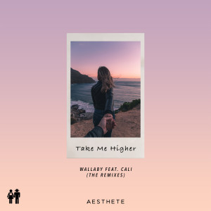 ดาวน์โหลดและฟังเพลง Take Me Higher (OPIUM CANDY Remix) พร้อมเนื้อเพลงจาก Wallaby