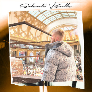 Listen to Silento (Explicit) song with lyrics from Bulle