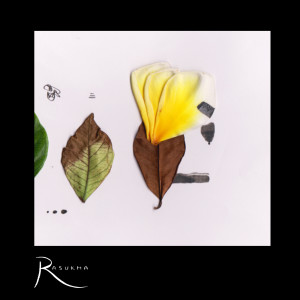 收聽Rasukma的Kian Dalam歌詞歌曲