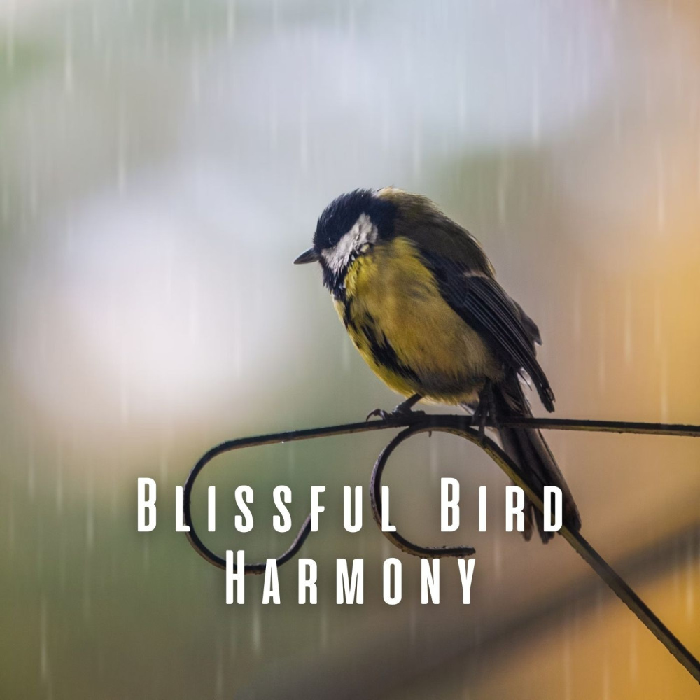 Harmonic Birdsong Reflections