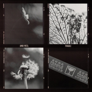 Dengarkan lagu Fragile nyanyian Amir Patel dengan lirik