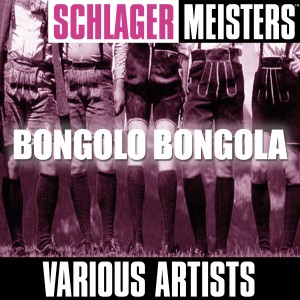 收聽Various Artists的Oh du schöne Sommerzeit歌詞歌曲