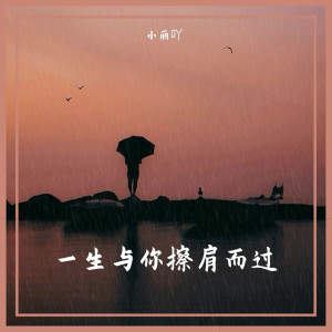 收听小丽吖的一个傻子歌词歌曲