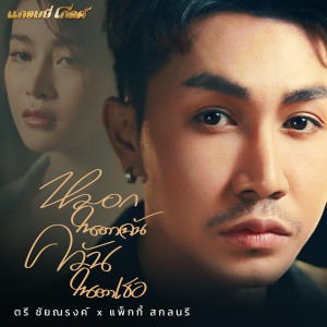 ดาวน์โหลดและฟังเพลง หมอกในตาฉัน ควันในตาเธอ (Cover Version) พร้อมเนื้อเพลงจาก ตรี ชัยณรงค์