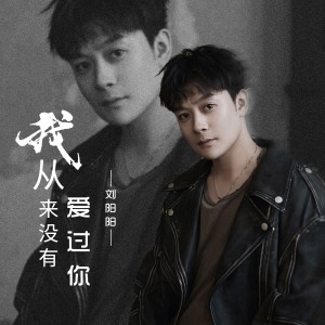 Album 我从来没有爱过你（DJ默涵版） from 刘阳阳