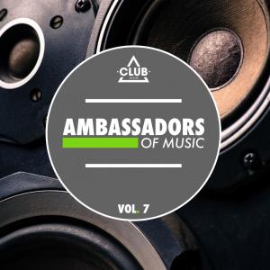Album Ambassadors of Music, Vol. 7 from Various Artists