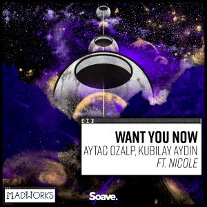 Aytac Ozalp的專輯Want You Now (feat. Nicole)