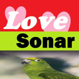 Album Love Sonar (Explicit) from Sonar