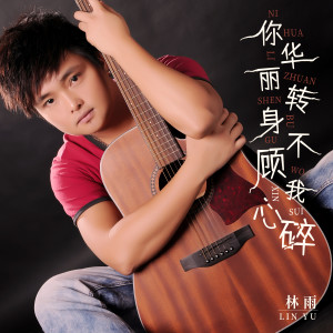 Listen to 你华丽转身不顾我心碎 song with lyrics from 林雨