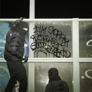Album I'M SORRY (Explicit) from DJ Aladyn