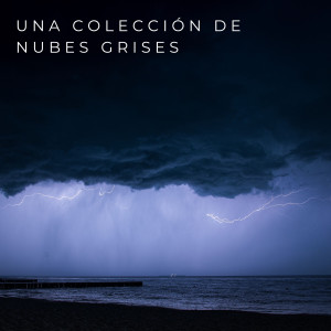 Album Una Colección De Nubes Grises oleh La Lluvia Suena Expertos en Naturaleza