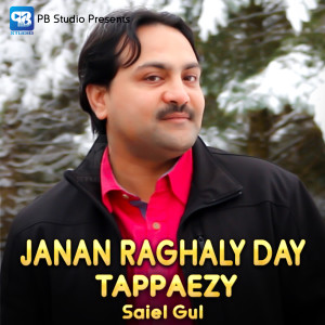 收听Saiel Gul的Janan Raghaly Day Tappaezy歌词歌曲