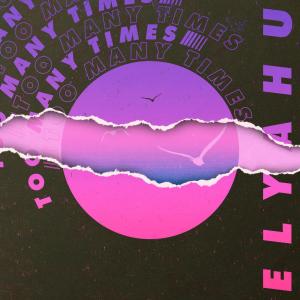 Listen to Too Many Times song with lyrics from Elyahu